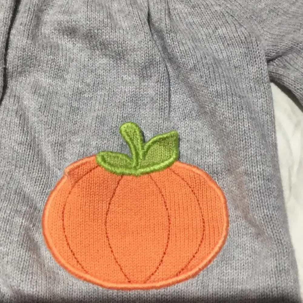Gymboree 3t fall pumpkin sweater long t like new